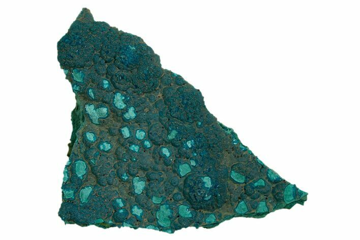 Teal Botryoidal Chrysocolla and Malachite - Chile #310148